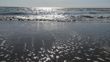 Perla di Mare chiaro - Photo 3