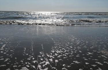 Perla di Mare chiaro - Photo 3