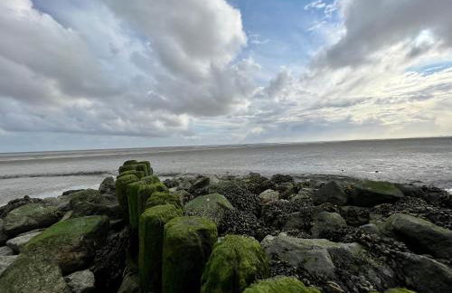 Ferienwohnung "Deichblick" Ruheoase für Naturliebhaber und Radfahrer in Katingsiel - Foto 11