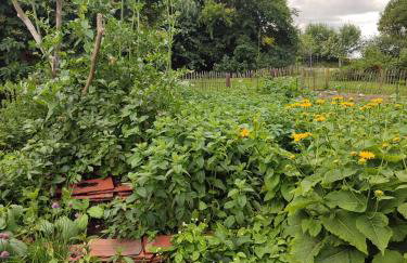 Kleiner Bauernhof in Ostseenähe - ganze Ferienwohnung mit 2 Zimmern - Foto 6