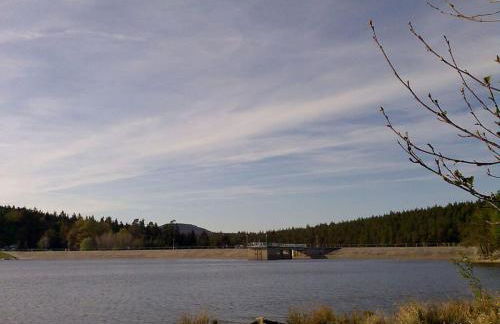 Family Theermann - Foto 35