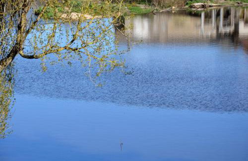 AU BORD DE L'EAU appartement 50 M2 - Photo 6