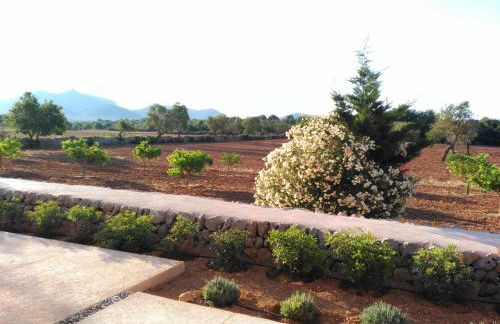 son capellot - Foto 39