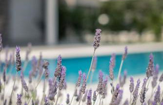 VARKO LUXURY SUITES - Foto 64