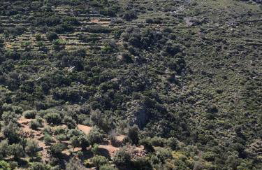 ARETI Sea View Mountain Cottage - Foto 46