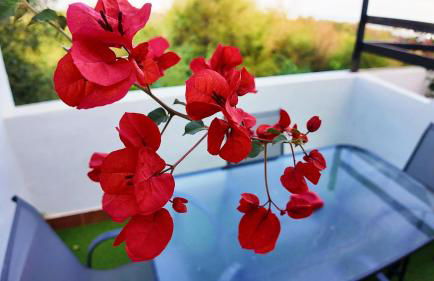 Apartalux Diamond Oasis - Foto 37