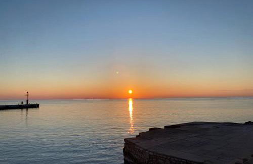 House Mateja Unije - Foto 27