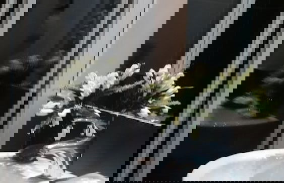 InnVatican - Photo 36