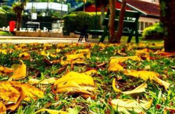 Refúgio na Serra Condomínio em Olaria, Nova Friburgo-RJ - Foto 44