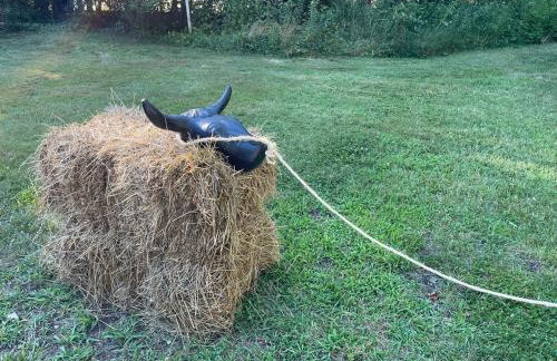 Modern Farmhouse Retreat North Fork Wine Country - Foto 56