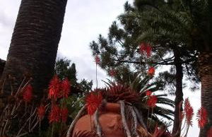 Gavila's Residenza Turistico Alberghiera - Foto 44