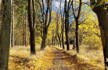 Apartament z kominkiem RetroGlam - Foto 31