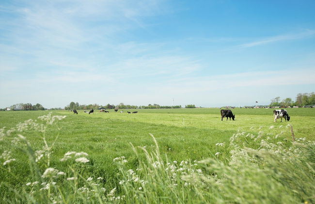 Idyllic Rural Home With Bikes - Foto 28
