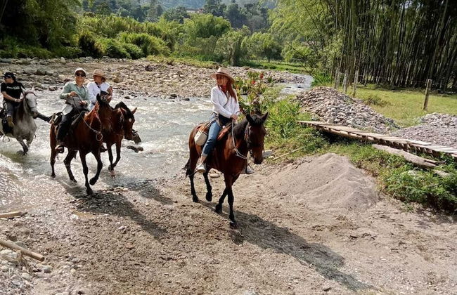 Hakuna Matata Glamping Salento Pumba - Photo 22