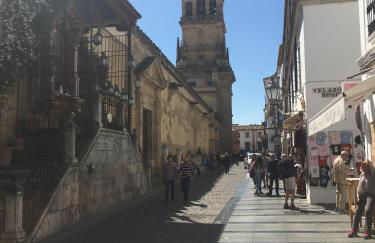 La Condesa de Vallellano - Foto 22