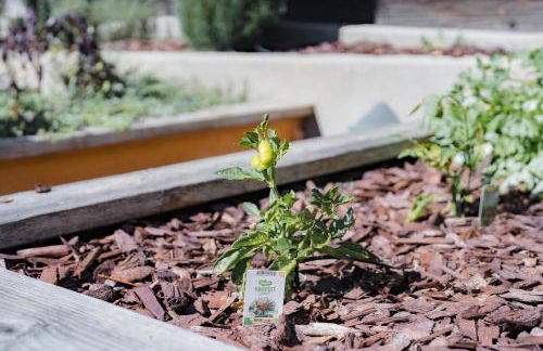 1907 Stone House - King Bed, Office, Crib, Toys - Foto 45