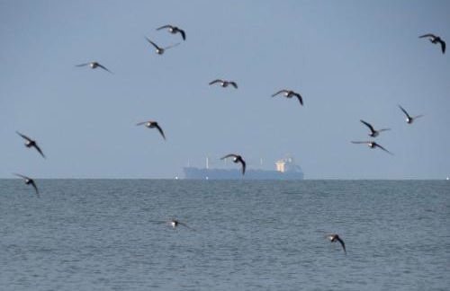Petit nid à 50m de la plage au coeur de Fouras - Foto 13