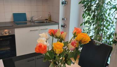 Superapartments in Potsdam - Foto 4