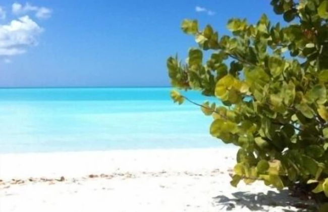 Galley Bay Cottages - Foto 68