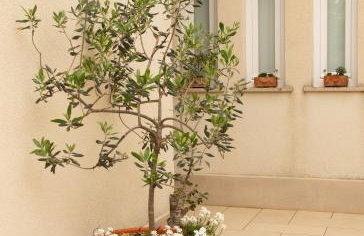 Villa Casia - Foto 30