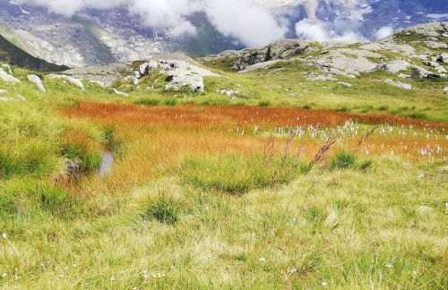 Appartamento Belvedere - Foto 25