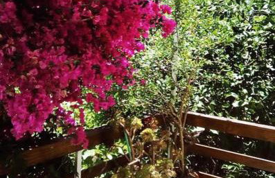 Faros oasis - Foto 11