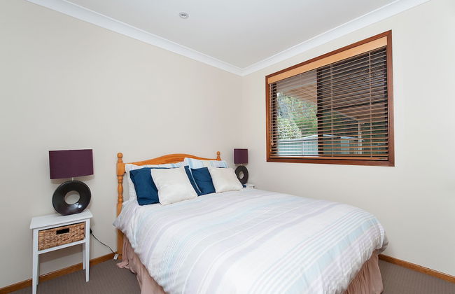 Wildflowers at Fingal Bay - Photo 3