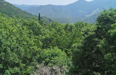 Appartement 2 ou 4 personnes. Venaco - Foto 16