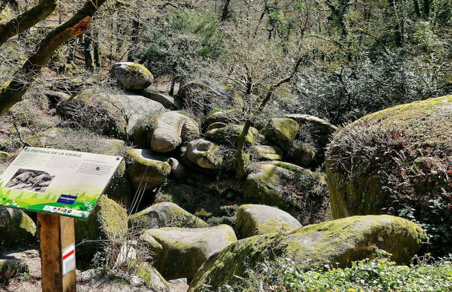 Cosy Holiday Home in Huelgoat With Terrace - Foto 24