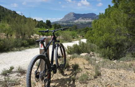 Cortijo Blanco - Foto 33