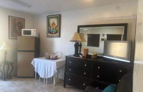 My Garden in Miami Florida - Photo 38