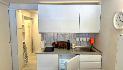 Monolocale Cristallo 20 - Serafini - Foto 4, stove, minibar