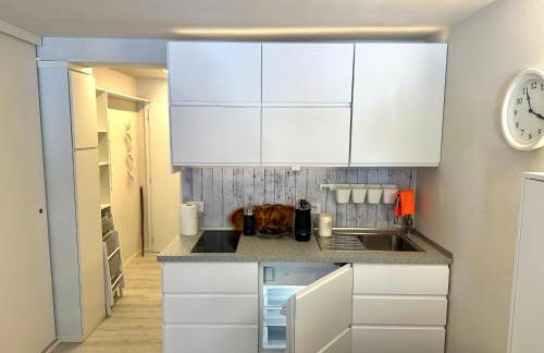 Monolocale Cristallo 20 - Serafini - Foto 4