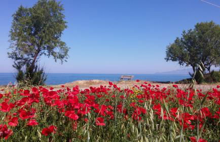 Irida Beach Resort Suites - Foto 53