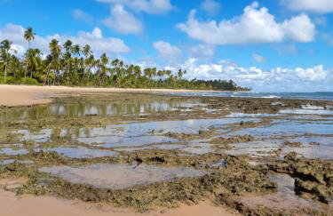 Casas Oceano - Foto 16