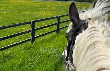 Well-equipped Apartment at Westerlands Farm - Foto 38