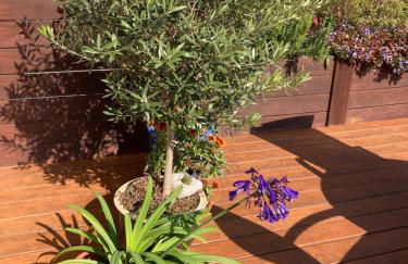 Terrassenwohnung - Foto 6