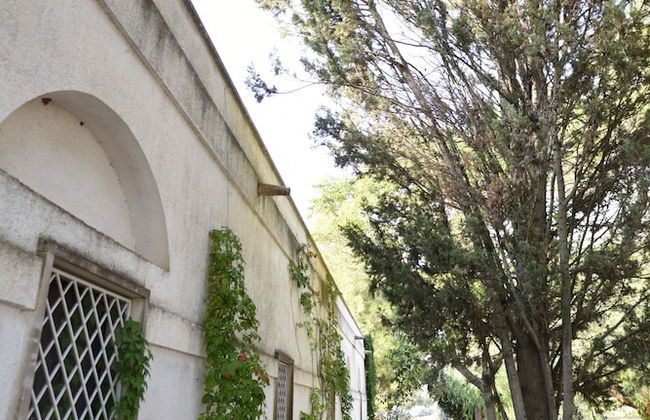 Masseria Frassaniti - Foto 39