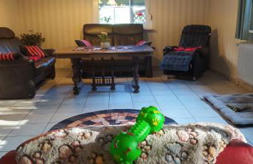 Mooroase Bauerngarten - Ovelgönne - Nordsee - Weser - Jade - Foto 34