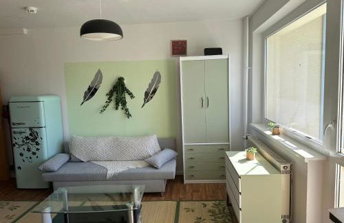 Ruhige sonnige 1,5 Zimmer Wohnung - Foto 1