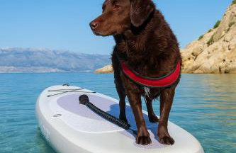 Mila's pet friendly holiday house with private beach place and sunbeds included - Photo 5