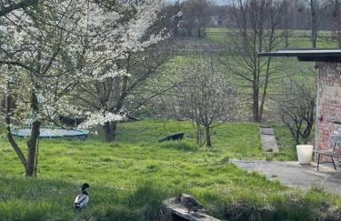 Idyllisches Landhaus Taucha mit Gartenzugang - Foto 17