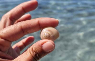 Casa Babila 100 metres from the beach 10 kilometres from Villasimius - Foto 44