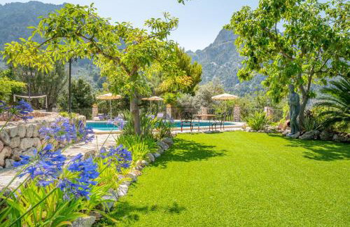 S Olivar Major - Foto 21