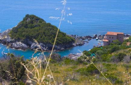 Un Capriccio - Ginepro - Foto 49