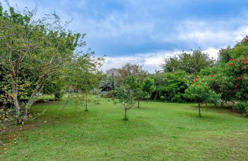 Masseria Copertini - Foto 52