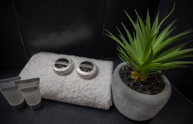 San Mateo on Broadbeach - Photo 33