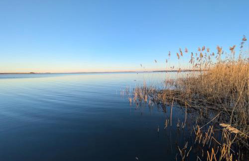 Villa Bella Zastan Sauna & Jacuzzi - Photo 52