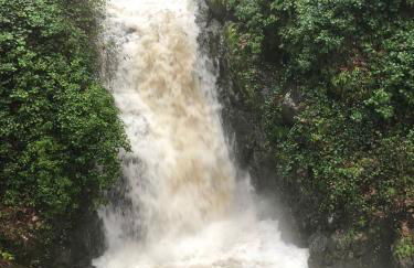 El Pinarejo - Photo 10