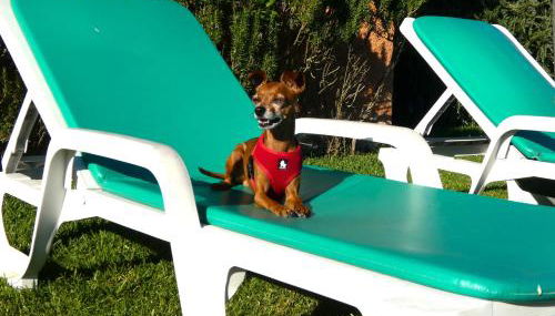 Casa da Bonança Ofir - Foto 4, sunbed